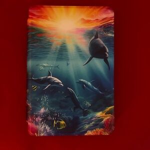 Dolphin Fire 7 Protective Case